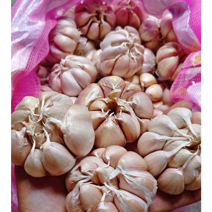 

BAWANG SINCO FRESH/SINCO FRESH 1/2KG