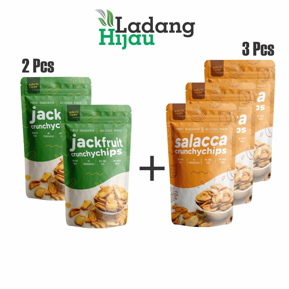 

[⁑D7\] Keripik Buah / Keripik Buah Nangka (2pcs) + Keripik Buah Salak (3) [192]