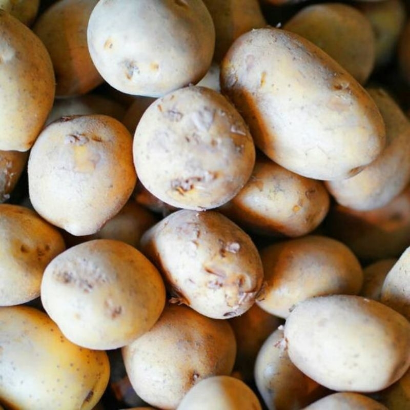 

Kentang Dieng Super 500 gram fresh