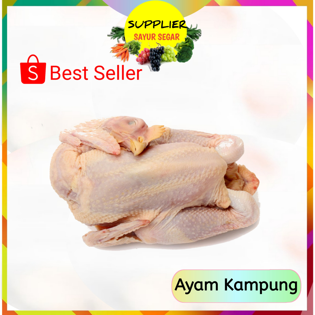 

Ayam Kampung 1 Ekor Fresh Palembang