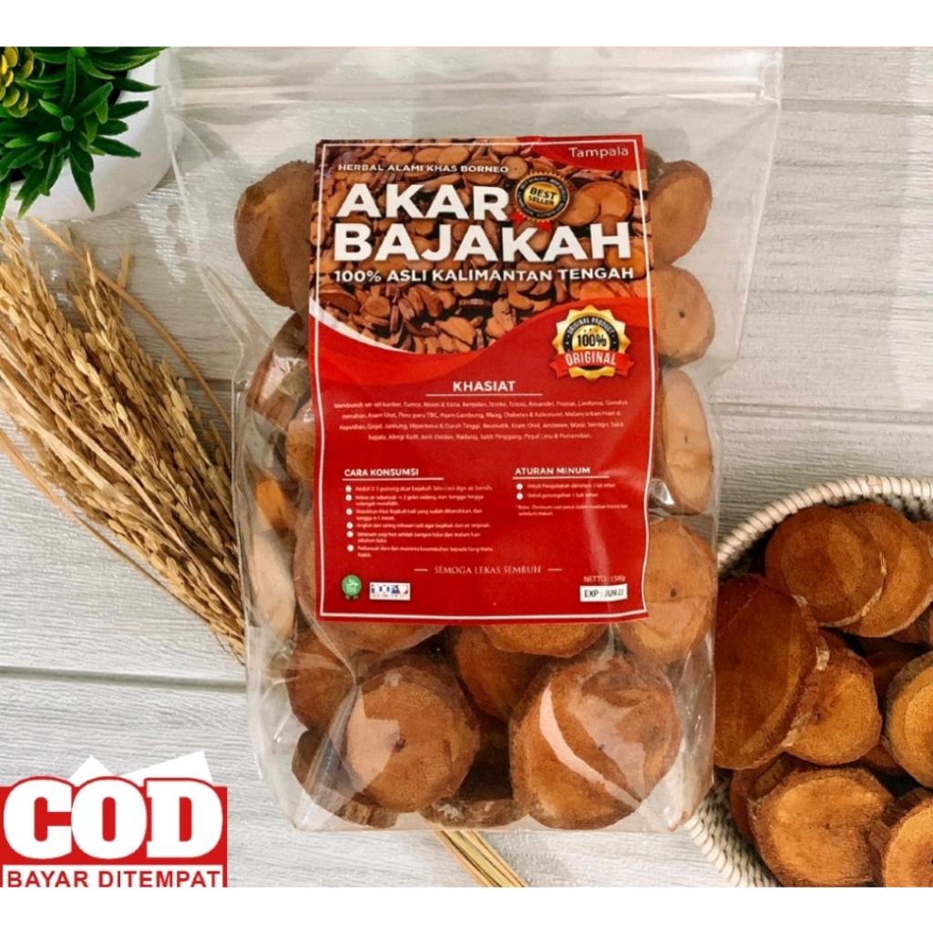 

Akar Bajakah Tampala Merah Super Siap Seduh Obat Tumor dan Kanker 250g (100% ORIGINAL) Asli Kalimantan