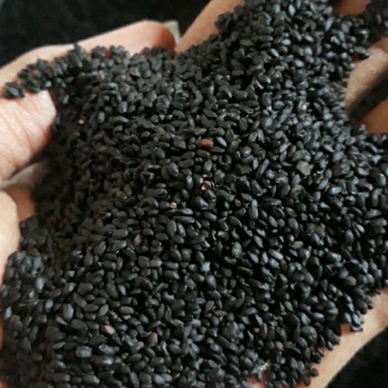 

[♕N47\] Biji selasih kualitas super paket 1 kg Super Murah