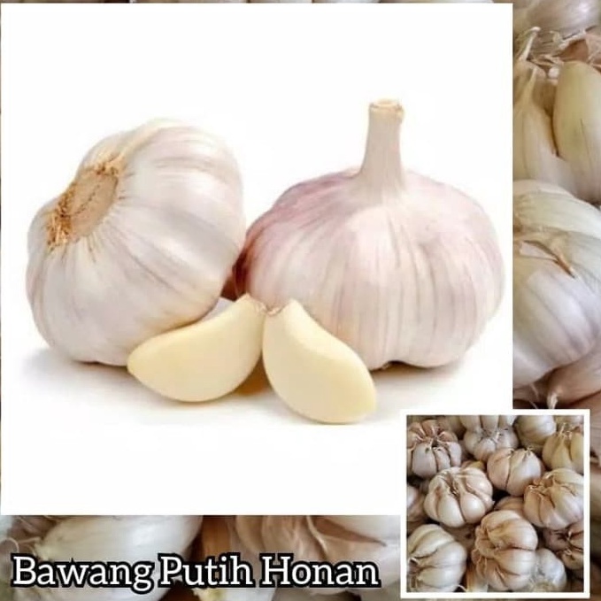 

Terk!!ni Bawang Putih HONAN Bonggol Garlic Grade A 1 kg JANGAN LUPA BELI KARDUS [242]