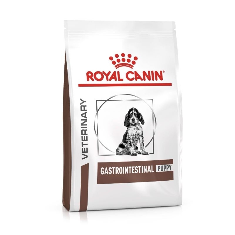 Royal Canin Gastrointestinal dry dog food