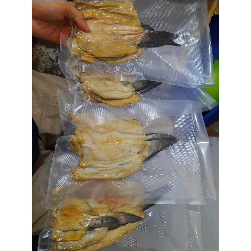 

ikan asin serba 10ribu, asin sepat / asin gabus tawar / asin peda merah / asin tawes / asin japuh / asin datong / asin pari / asin cucut / kere manis / asin jambal utik / asin tambakang.