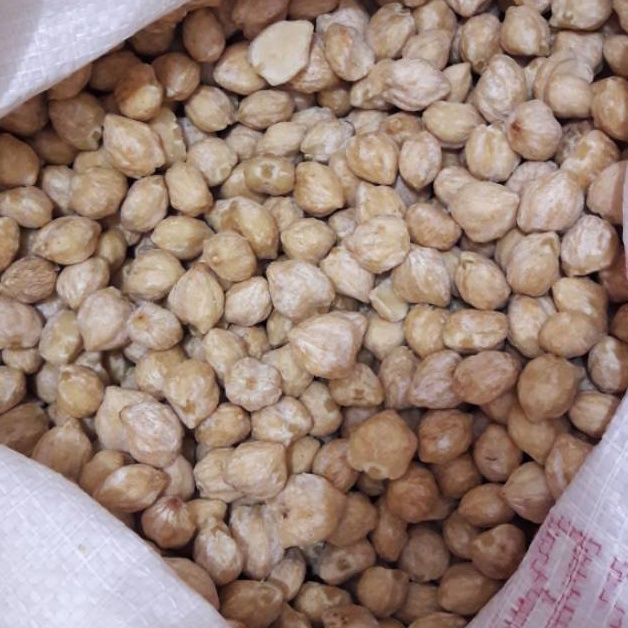 

[❄V43$] Biji Kemiri Bulat 1kg - 500gr Weekend