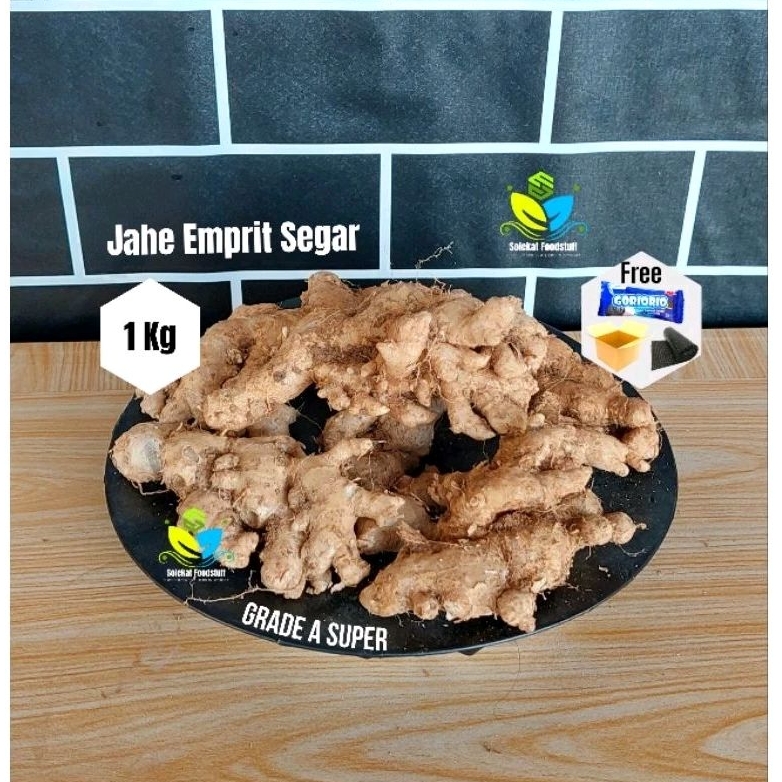 

Jahe Emprit Segar 1 Kg Jahe Lokal Pedas Grade A 500 Gr