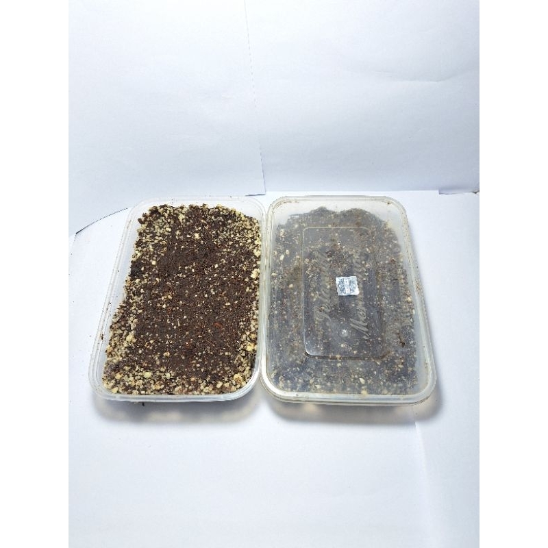 BENDINGAN JAILANGKUNG ORIGINAL