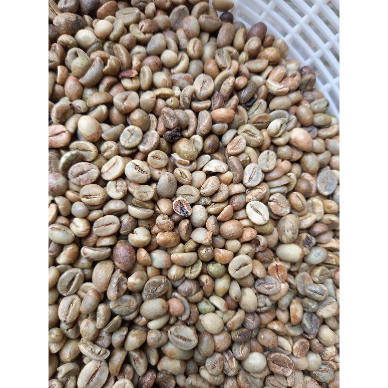 

Green Bean/Biji Kopi Robusta Lampung Natural - 1KG
