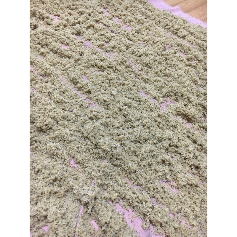 Telur Jangkrik Terek1000g