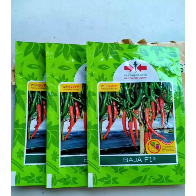 bibit cabe baja F1
