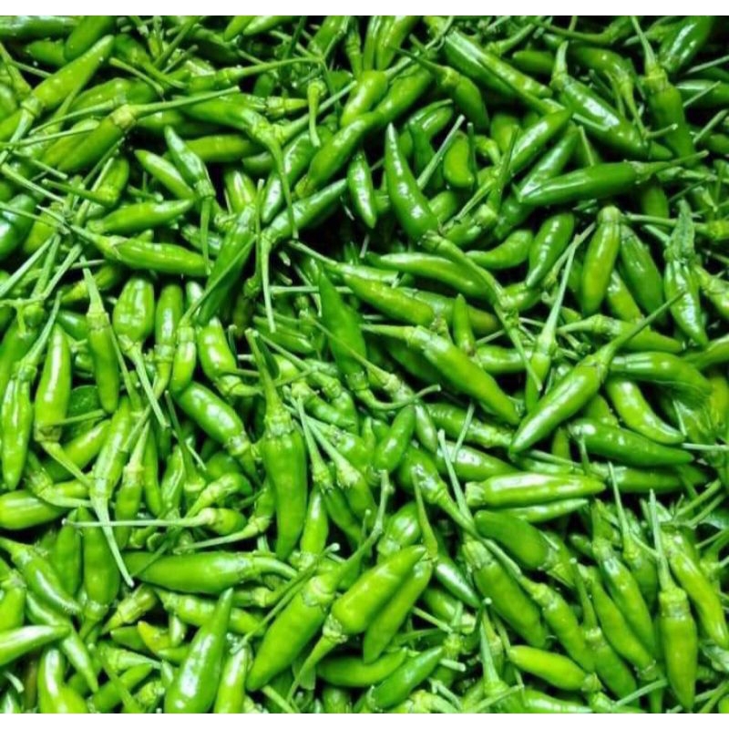 

Cabe Rawit Hijau 500 g