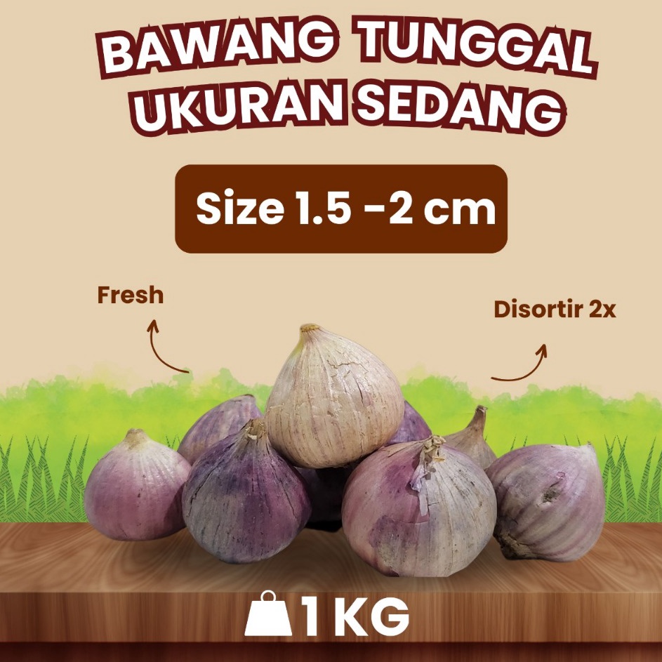 

[KODE TVF70] Bawang Putih Tunggal Lanang SEDANG 1.5-2 CM 1 KG