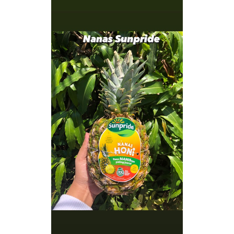 

Nanas Honey Sunpride Berat 1.500 kg [Kurleb]