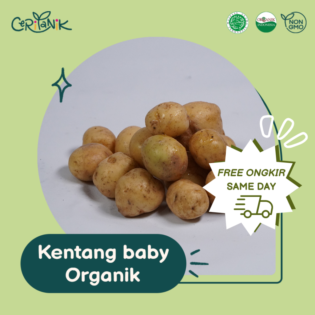 

Kentang Baby 500 gram - Ceritanik - Baby Potato Organic - Sayur Organik Murah - Sayur Organik Sehat - Sayur Organik Premium