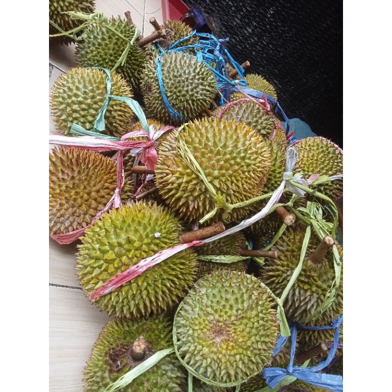 

Promo Buah Durian Madu