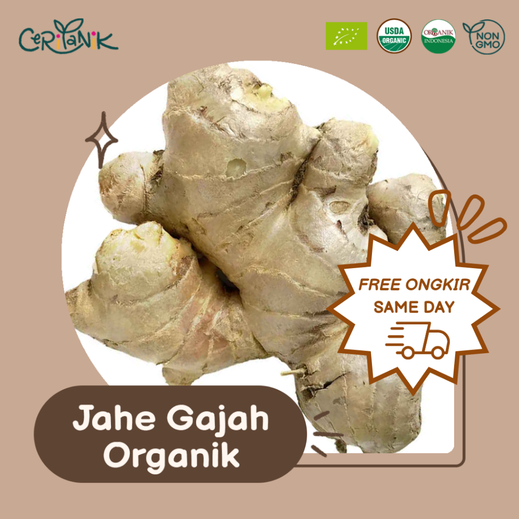 

Jahe Gajah Organik 100 gram - Ceritanik - Ginger Organic - Rempah Organik Murah - Rempah Organik Sehat - Rempah Organik Premium