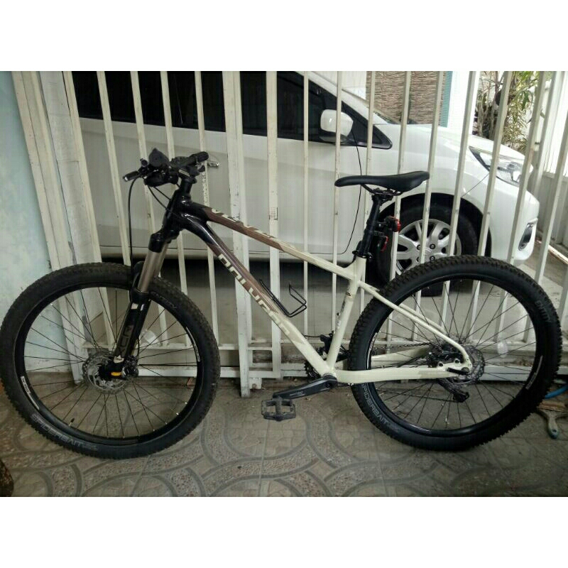 polygon Xtrada 6 / thn 2021