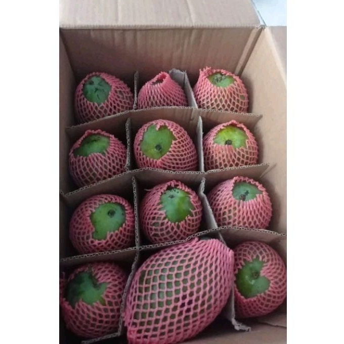 Mangga khas Pasuruan 5kg / kardus, gadung harum manis clonal Khas Pasuruan