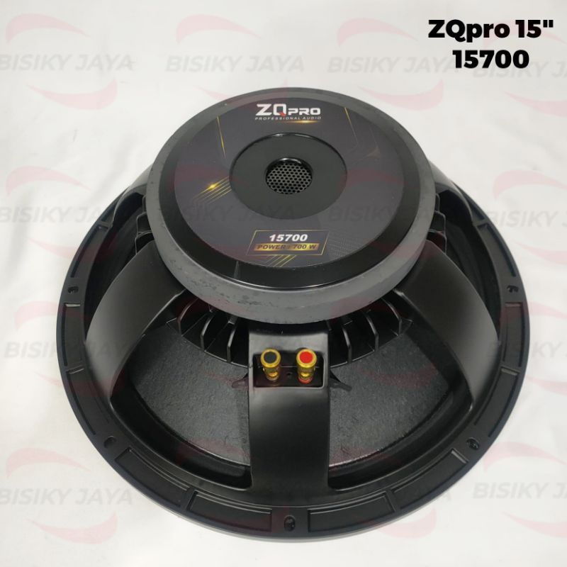 Speaker 15 inch ZQpro 15700