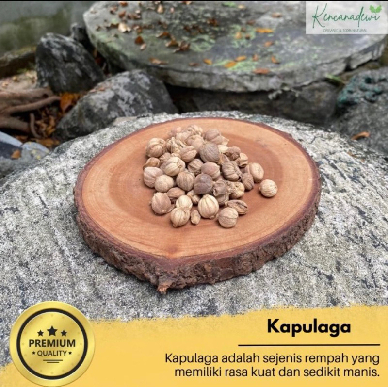 

Kapulaga kerinng -Original Herbal