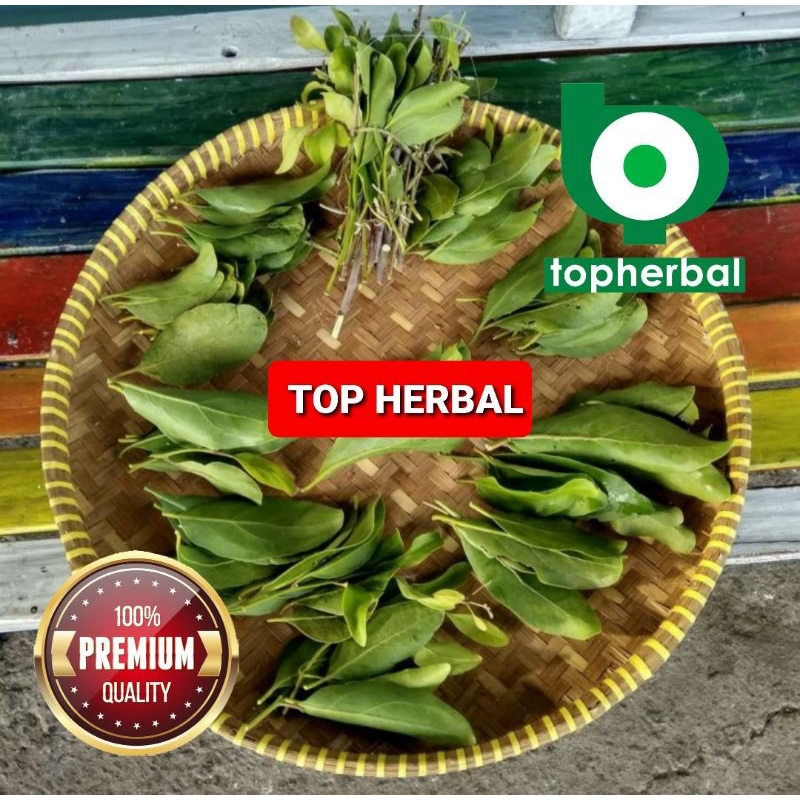 

Benalu Jati Kering Hijau 1000 Gram