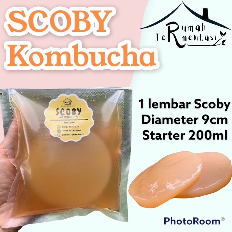 

[❁J80>] SCOBY KOMBUCHA / BIBIT KOMBUCHA (KUALITAS PREMIUM) Promo Murah