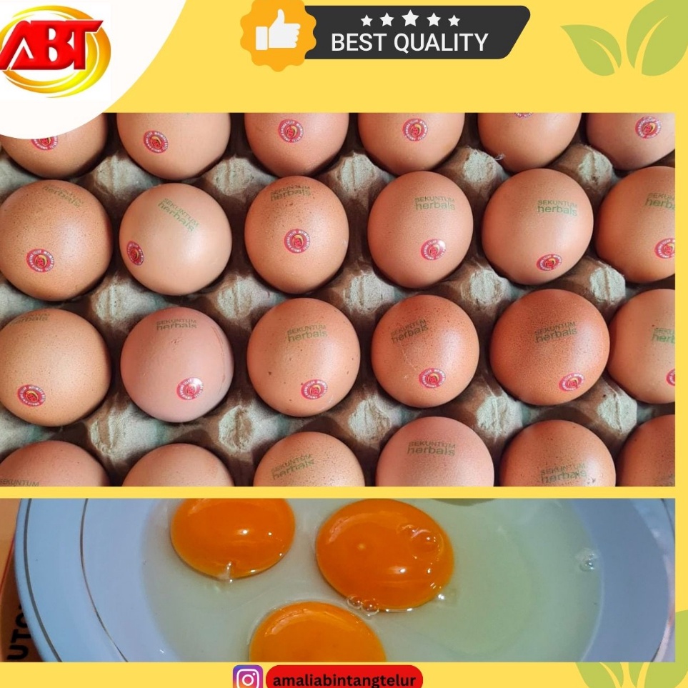 

Bestseller ABT - Telur Ayam Omega 3 1 tray isi 30 butir Terkini