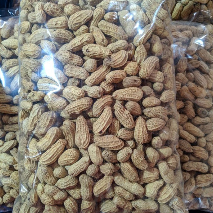 

Ready KACANG KULIT SANGRAI 1KG/KACANG BAKAR 1KG/ KACANG RENYAH/ KACANG MURAH/KACANG KILOAN/AGEN SNACK ➢❈