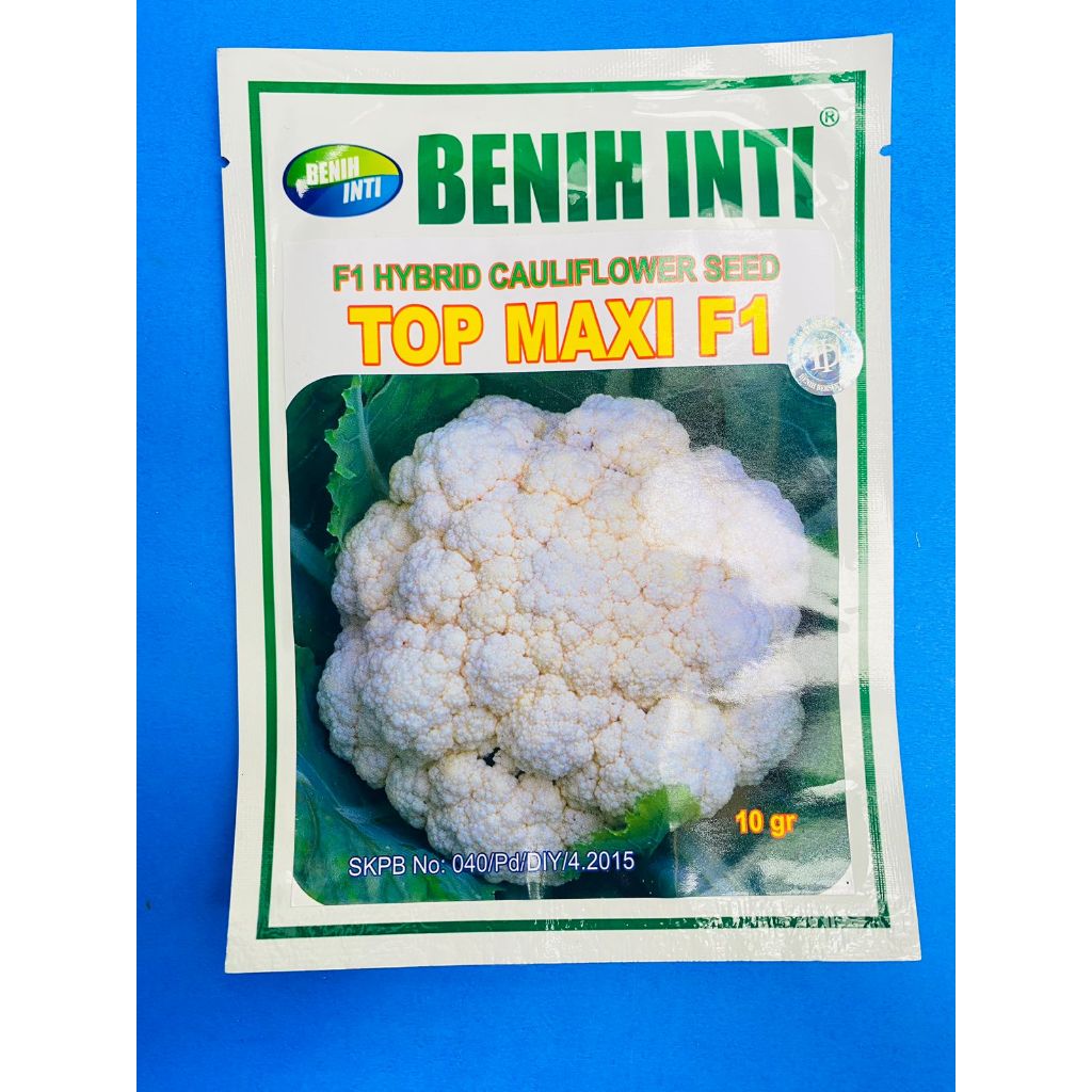 Benih Kol TOP MAXI F1  isi 10 grm dr Dinasty Inti