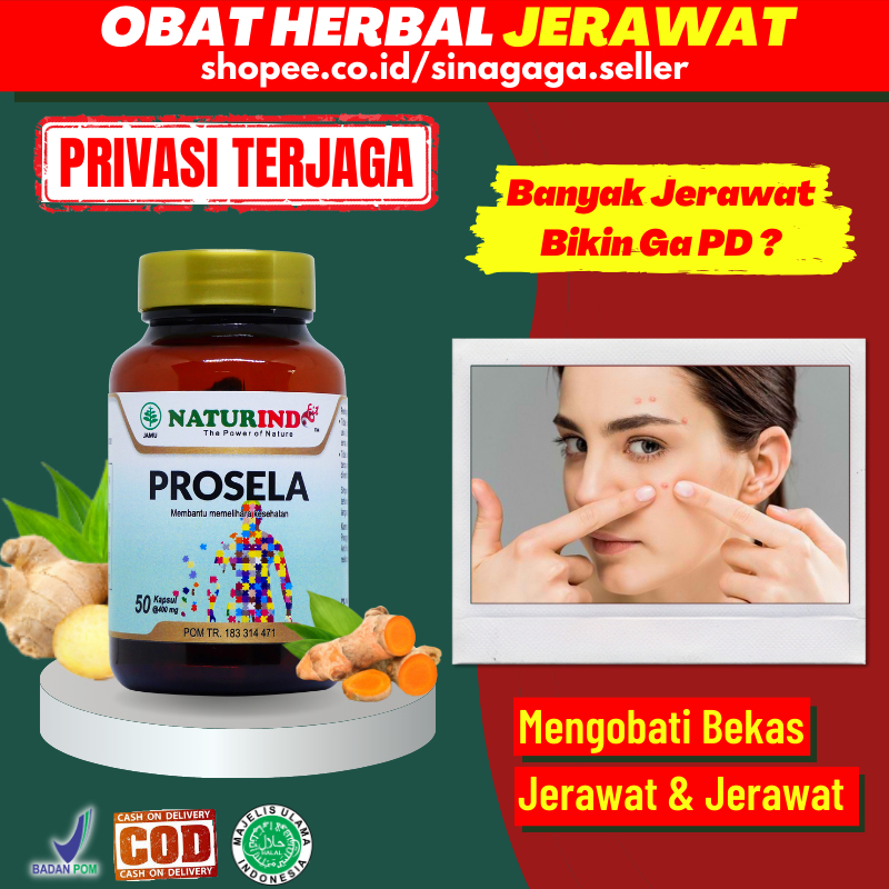 Obat Herbal Penghilang Bekas Bopeng Luka Jerawat Hitam Meregenerasi Sel Koreng Borok Cacar Pria Wani