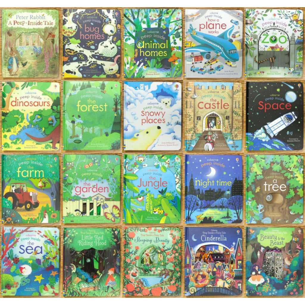 Usborne Peep Inside / Buku Usborne Peep Inside Air Plane