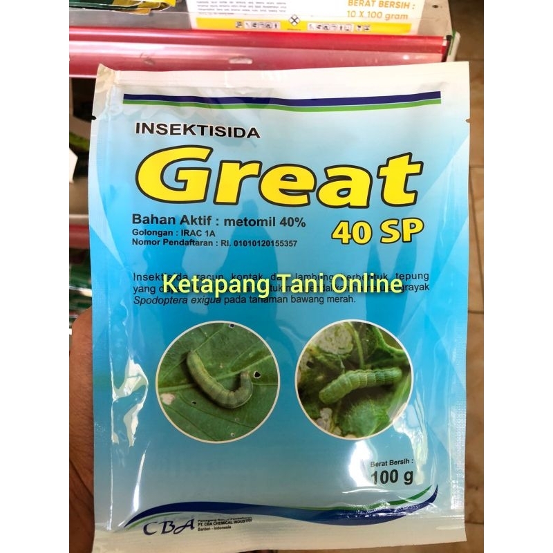 Great 40 SP 100 Gram