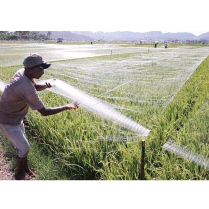 [KODE TZAAU] Jaring burung sawah lebar 7,5m panjang 100yds jaring burung pipit jaring burung emprit 