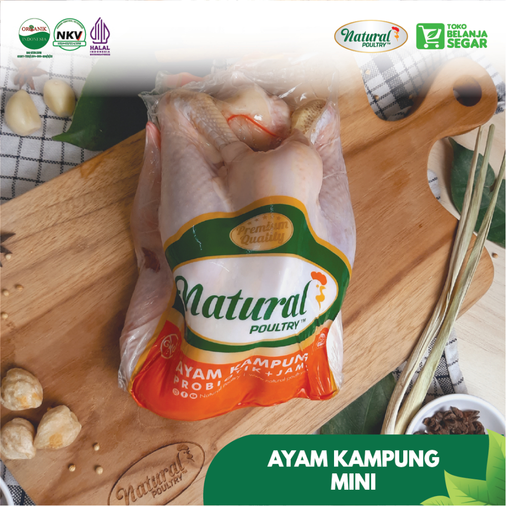 

Ayam Kampung Mini Natural Poultry (600-700 gram)