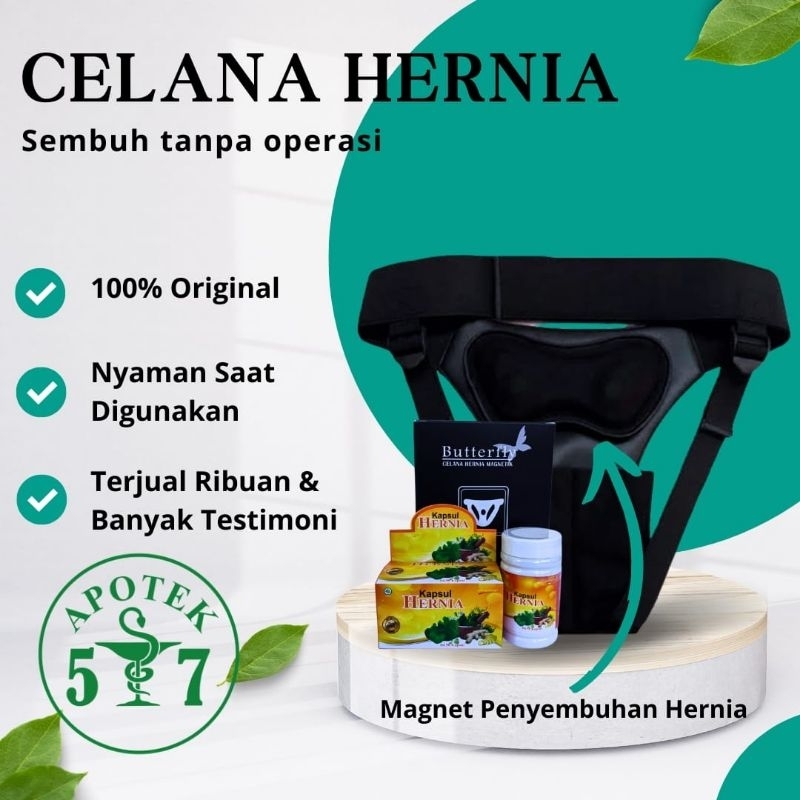 Celana hernia magnetik pria dewasa butterfly