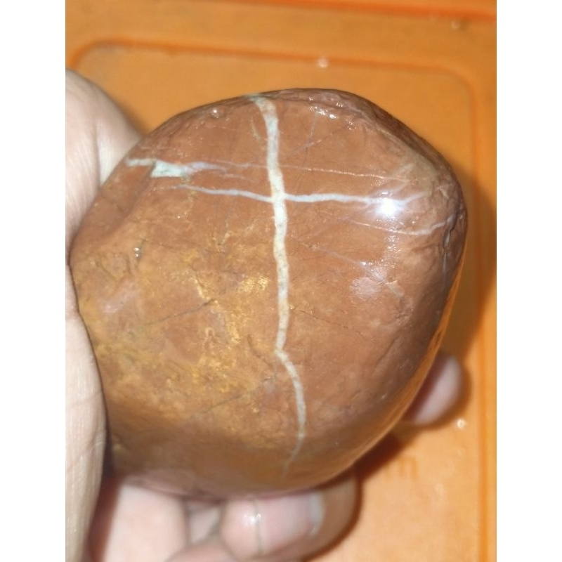 bahan batu tapak jalak ati ayam