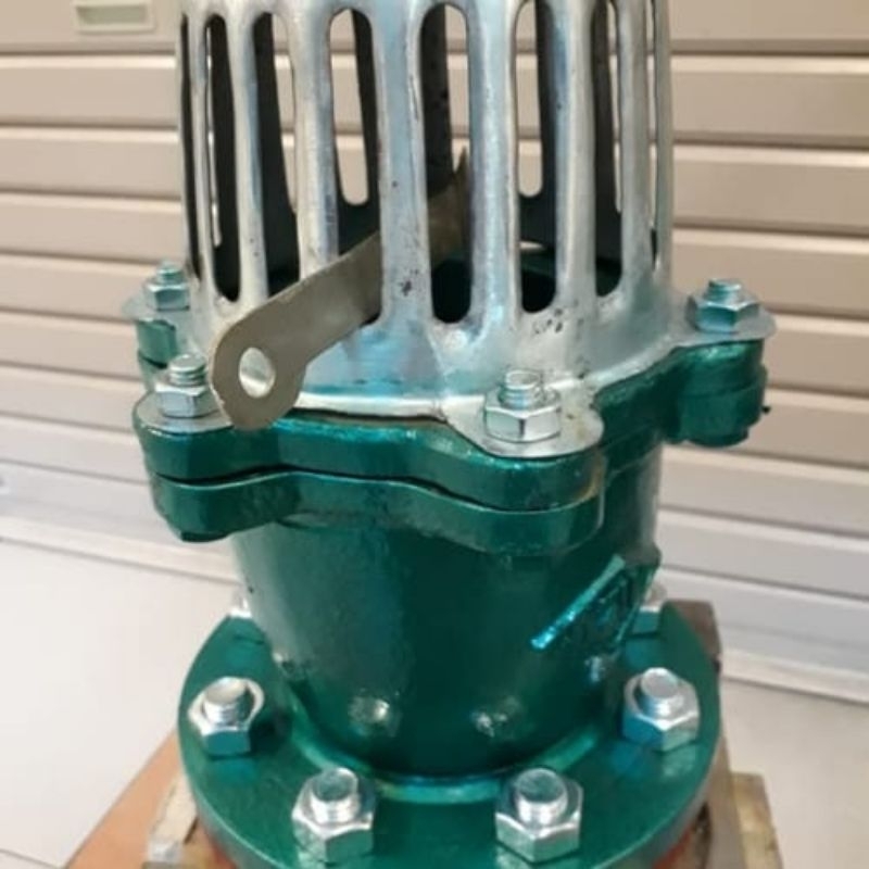 Foot Valve 8" Inch MIZU Cast Iron Flange Jis 10K DN200