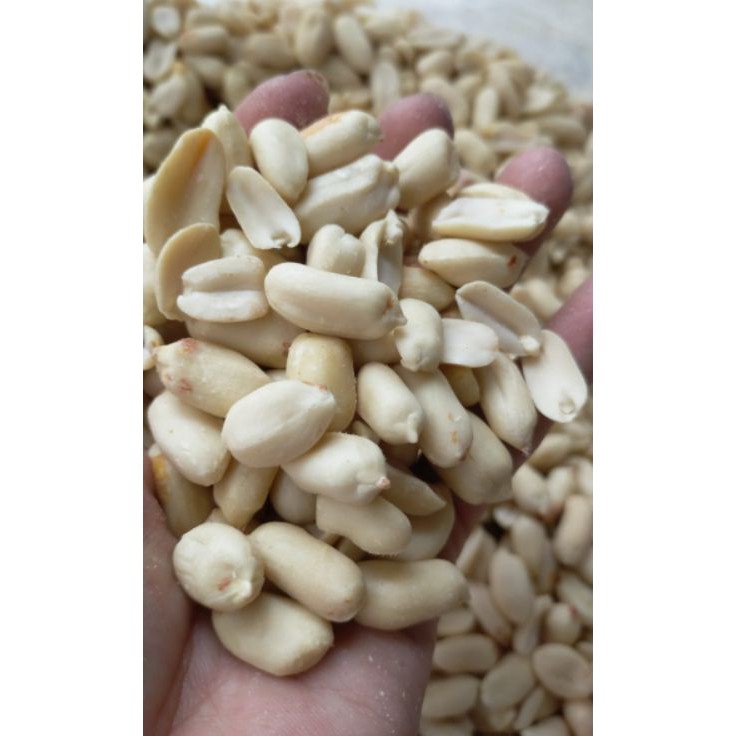 

Best Product Kacang Tanah 25/29 Jumbo & 41/51 No.2 Kupas Bersih 500Gram G Setengah Kilo Bukan Lokal