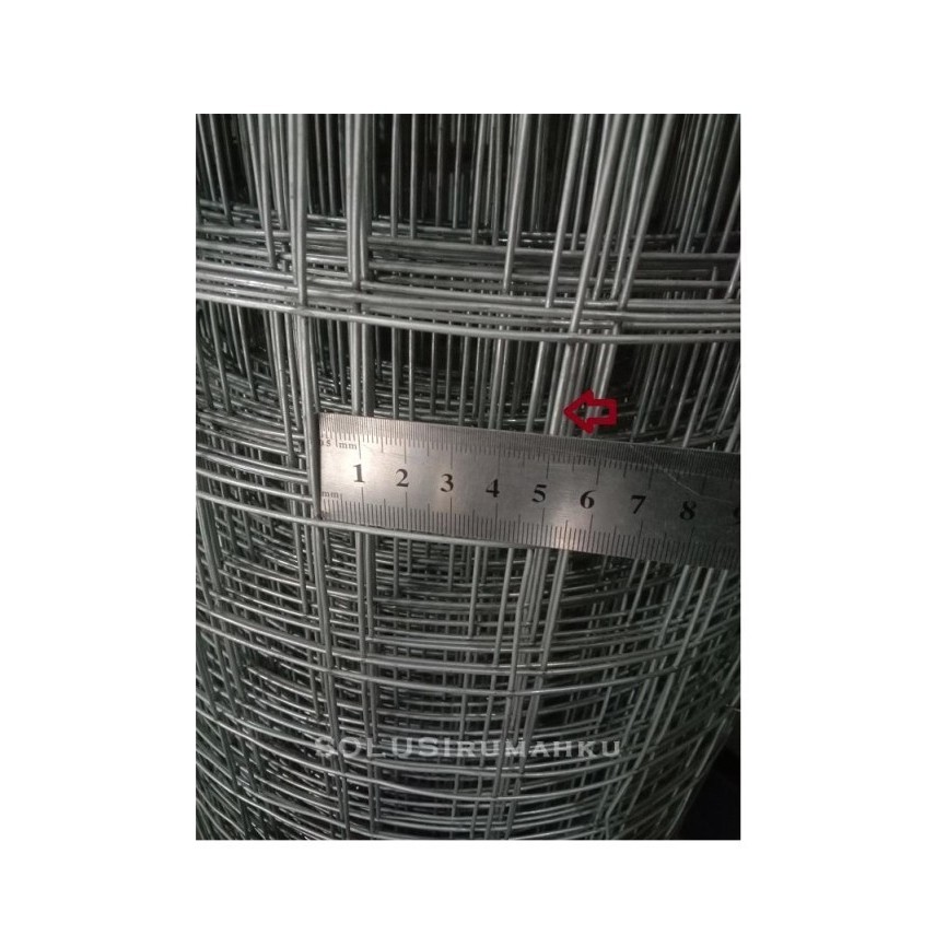 10 meter Wire Mesh Tinggi 120 cm x Kotak 5 cm Ram Kawat