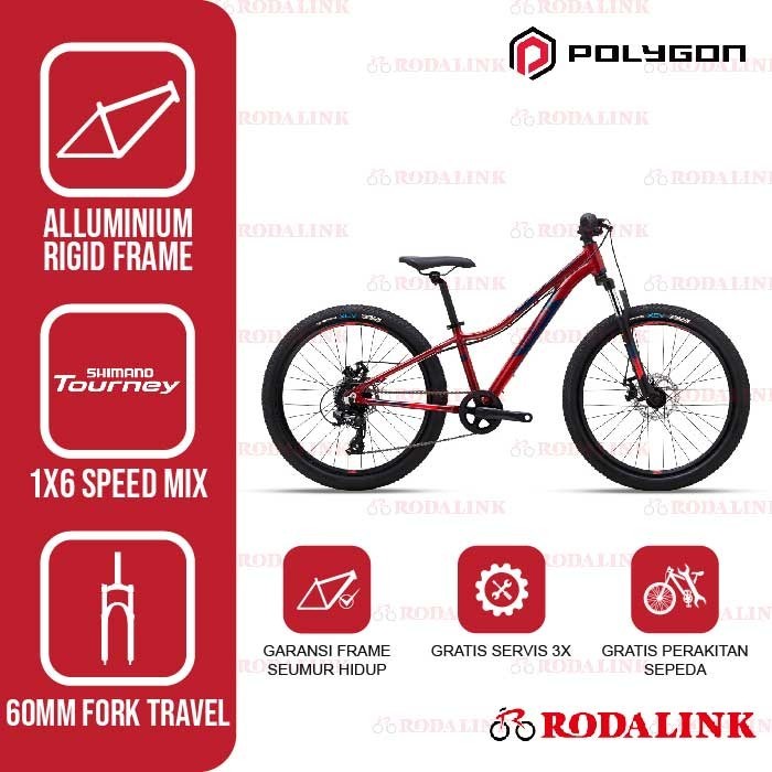 Polygon Sepeda Anak Mountain Bike MTB Junior Relic 24