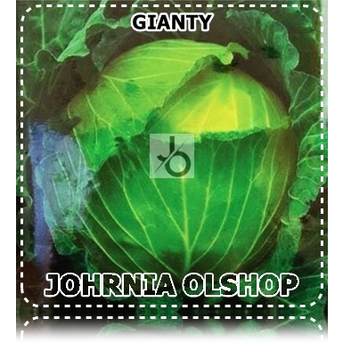 Johrnia 15 Benih Biji Kubis GIANTY