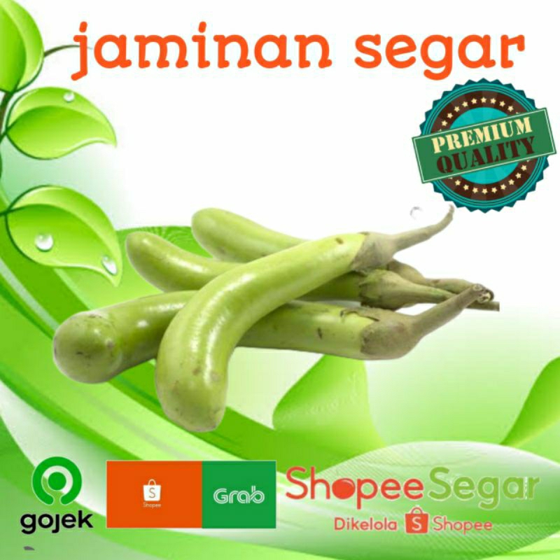 

terong ijo segar 500gr