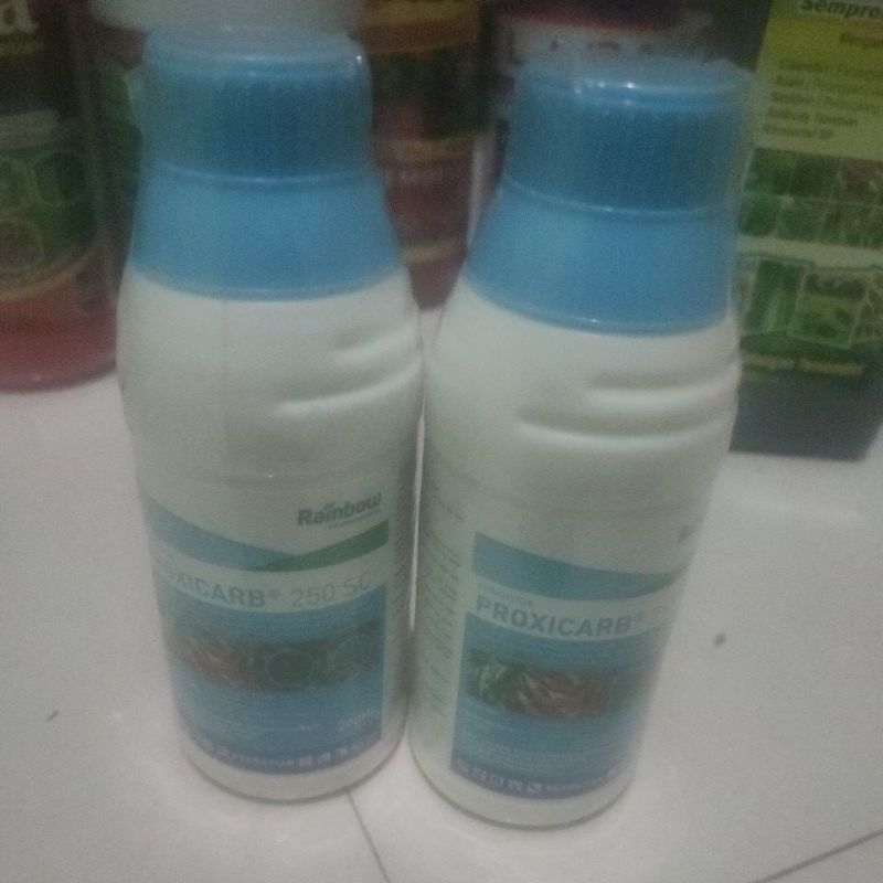 Obat Patek Cabe Fungisida Proxicarb 250 SC