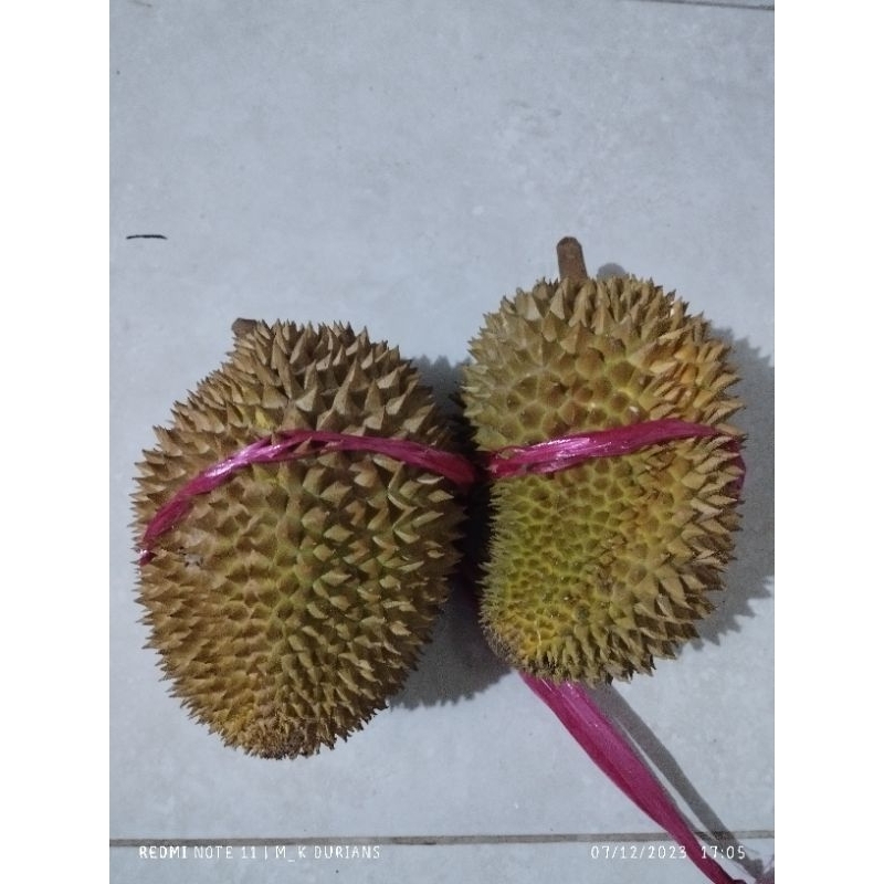 

Durian