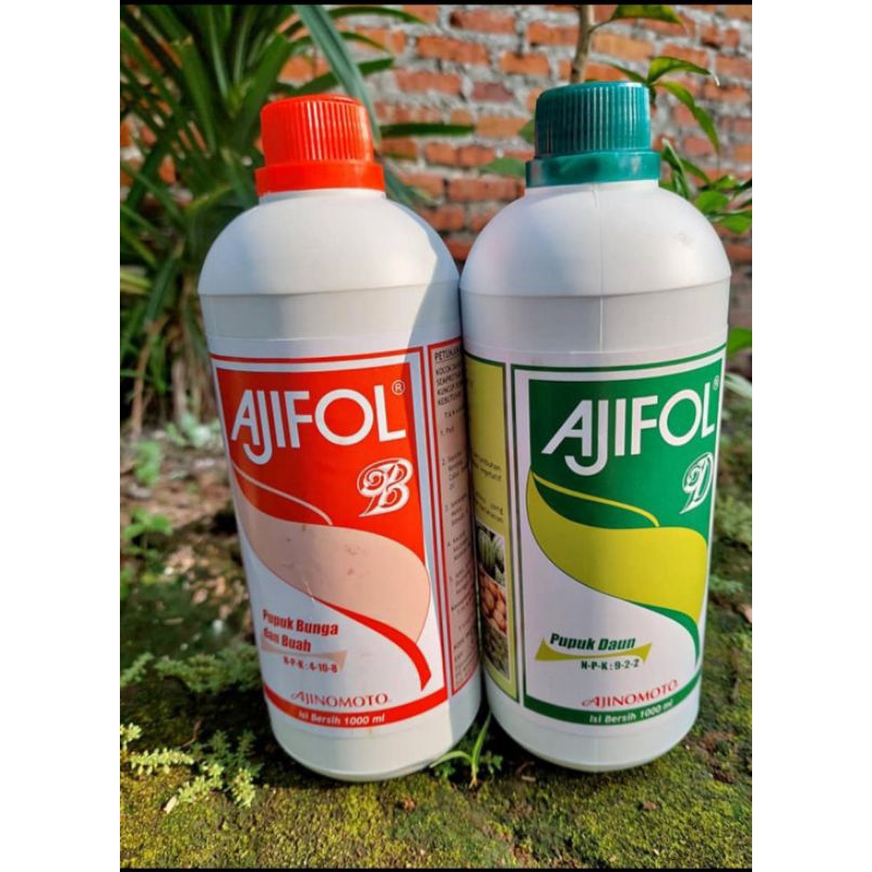 Ajifol B pupuk daun