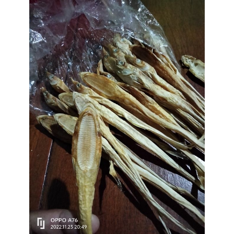 

Ikan Tempel Utuh Asli