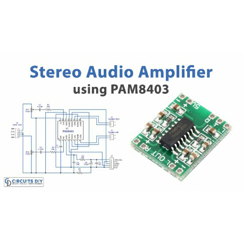 Kit ampli Pam 8403