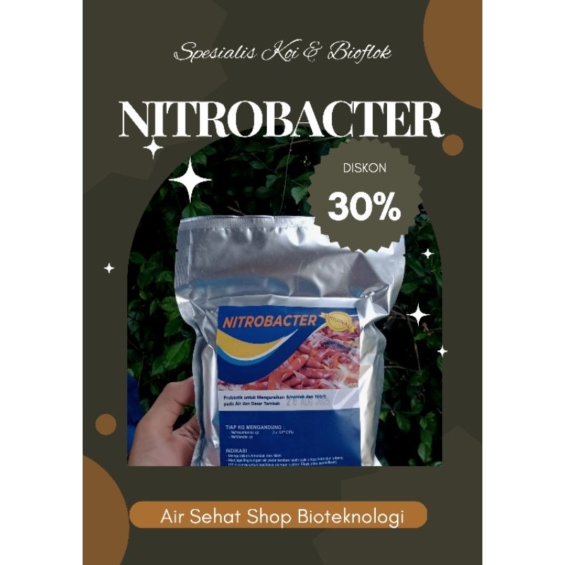 Nitrobacter 500 gram Probiotik Kolam KOI dan Bioflok