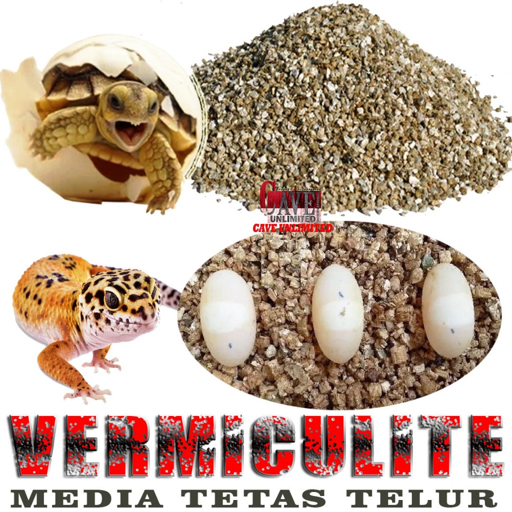 VERMICULITE REPTILE MEDIA PENETASAN TETAS TELUR TELOR LEOPARD GECKO KURA DARAT TORTOISE SULCATA PARD